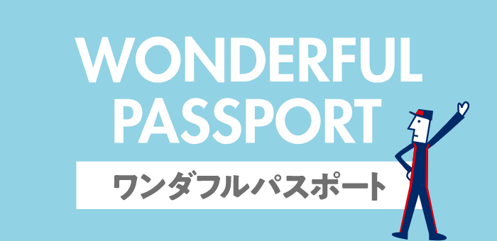 ワンダフルパスポート（定期点検）